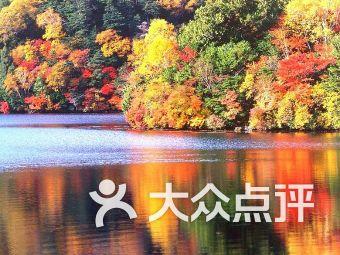 任振鹤参加武威代表团审议